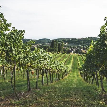 فندق مبيت وإفطار Wein & Gaestehof Erlacher *