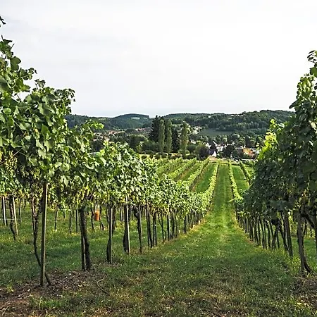 Wein & Gaestehof Erlacher Nocleg ze śniadaniem Hartmannsdorf
