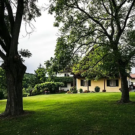 Wein & Gaestehof Erlacher Nocleg ze śniadaniem Hartmannsdorf