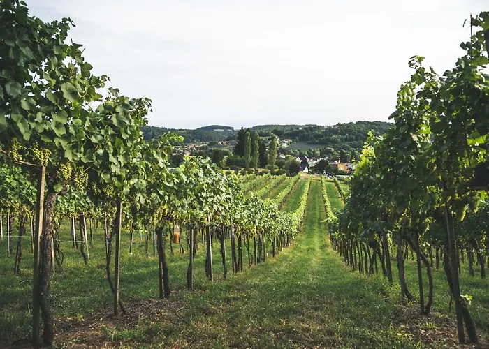 Bed & Breakfast Wein & Gaestehof Erlacher 3*