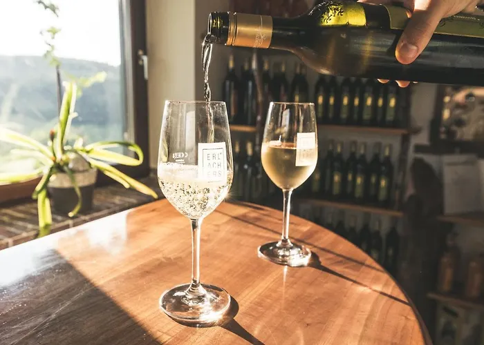 Wein & Gaestehof Erlacher 住宿加早餐酒店 Hartmannsdorf