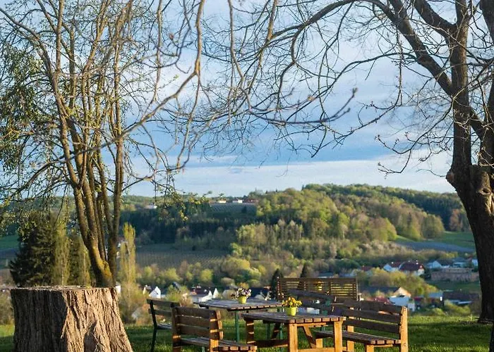 Wein & Gaestehof Erlacher 住宿加早餐酒店